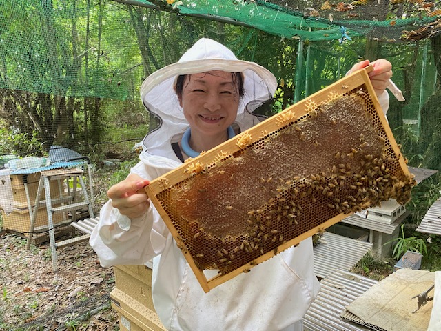 春・夏の最後の採蜜をしました＾＾♪